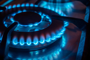 The gas burns in the burner of a kitchen stove 