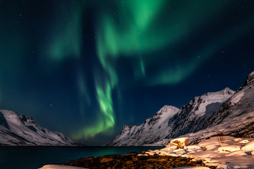 Obraz na płótnie Canvas Amazing Aurora Borealis in North Norway (Kvaloya), mountains in the background