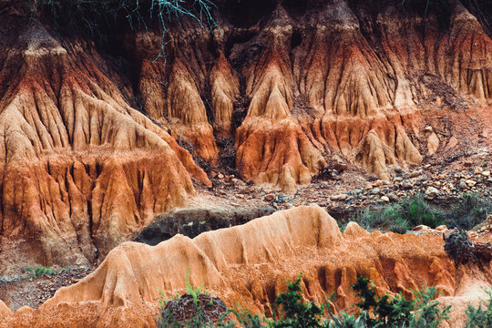 An eroded donga in a south African nature reserve