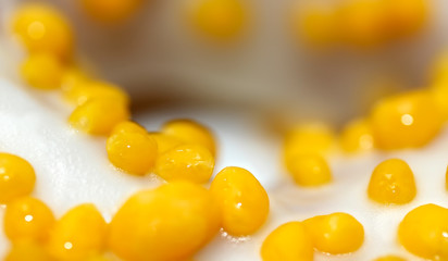 Tasty white donut with yellow round sprinkles. Background, texture. Close up. Macro