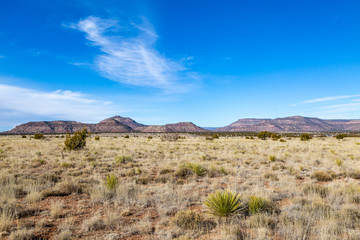 Fototapeta na wymiar A remote New Mexico landscape, with a blue sky overhead