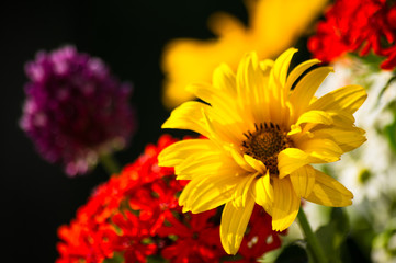 a bouquet of bright spring flowers of various types
