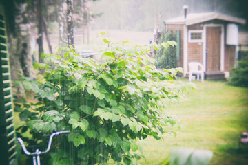 Fototapeta na wymiar Rain on a country house in the summer
