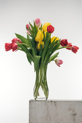 bouquet of tulips in glass vase on white