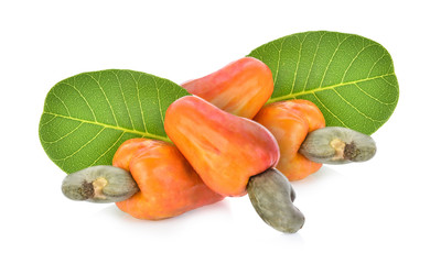 Red cashew fruit isolated on white background
