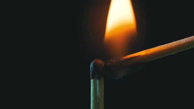 Igniting Match and Flame on a Black Background. Slow motion
