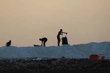 ludzie ciężko pracujący przy wydobyciu soli w kotlinie danakilskiej w afryce - obrazy, fototapety, plakaty
