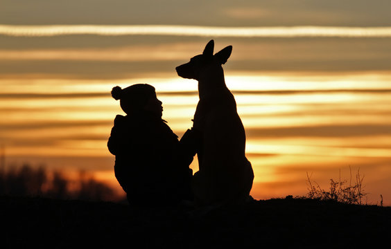 Boy and dog breed Belgian Shepherd Malinois on sunset background