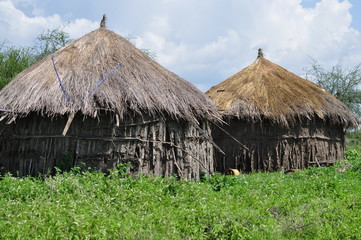 Fototapeta na wymiar Thatched mud and stick huts homes made by Maasai women in Tanzania, Africa