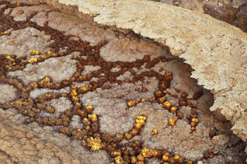 naturalne kolorowe siarkowe i solne twory na pustyni danakilskiej w etiopii