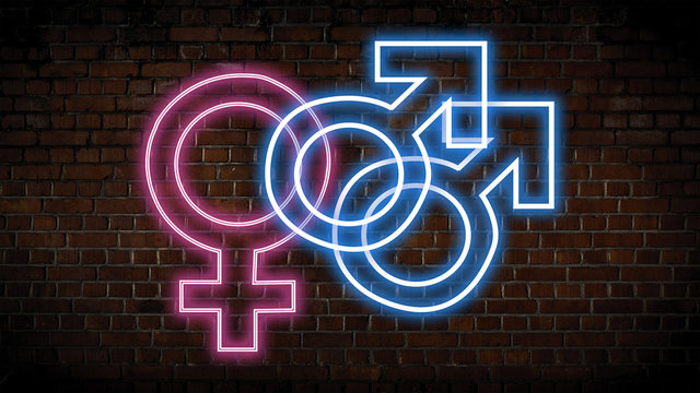 Bisexuality Neon Sign