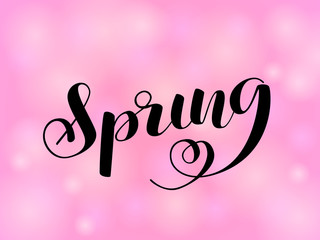 Spring brush lettering. Vector illustration