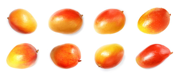 Set of whole ripe mangoes on white background, flat lay