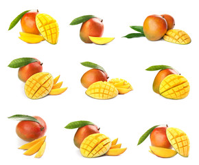 Set of delicious ripe mangoes on white background