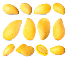 Set of delicious ripe mangoes on white background