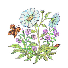 Illustration of daisy flowers with a butterfly of orange color, made with colored pencils on a white background