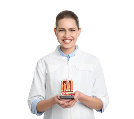 Female dentist holding teeth model on white background