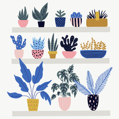 Botanic collection with garden tools and flower pots.