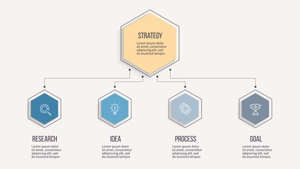 Business infographic. Organization chart with 4 options, hexagons. Vector template. Editable line.