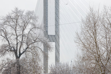Fototapeta na wymiar Pylon and cable-braced of Southern cable-stayed bridge across the Dnipro river in Kyiv, Ukraine. Winter is cloudy weather.