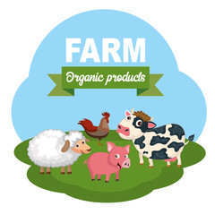 Pigs in the farm scene. Concept for animal farm and organic meat food. Flat vector illustration