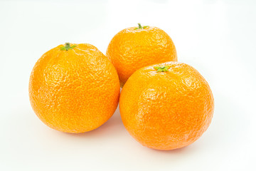 clémentines