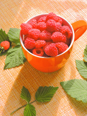 Fresh Raspberries background. Strawberry. Food background.Copy space. Top view, healthy food for breakfast. Eco, organic summer diet food. Ripe Raspberries from garden in a mug .Summer Raspberries . 
