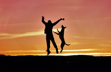 Silhouettes of man and dog on sunset background