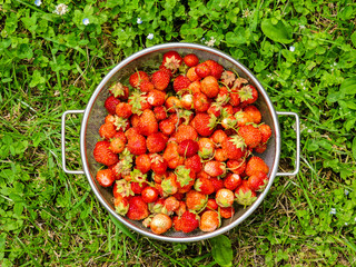 Fresh Strawberries background. Strawberry. Food background.Copy space. Top view, healthy food for breakfast. Eco, organic summer diet food. Ripe strawberries from garden.Summer strawberry.