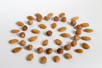 nut circle, flower, hazelnut and almond
