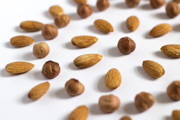 nut circle, flower, hazelnut and almond