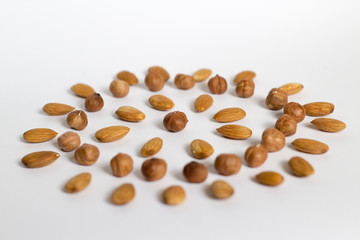 nut circle, flower, hazelnut and almond