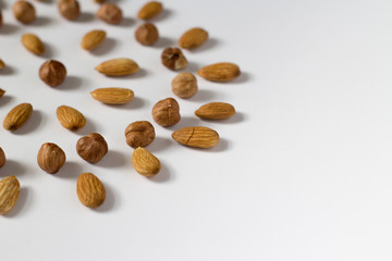 nut circle, flower, hazelnut and almond