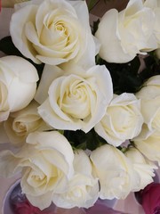 bouquet of white roses