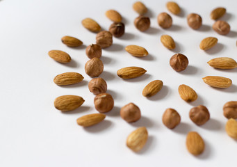 nut circle, flower, hazelnut and almond