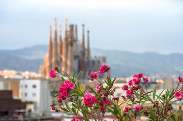 Sagrada Familia in Barcelona. Sagrada view with flowers