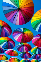 Many colorful umbrellas. Rainbow gay pride protection