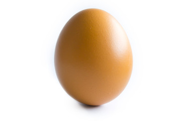 brown chicken egg on white background