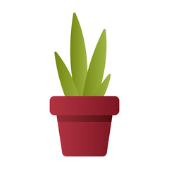 Flowerpot. Realistic pot and plant. The plant. Vector illustration. EPS 10.