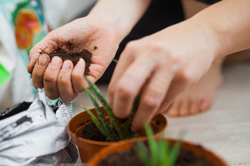 the girl falls asleep the earth in the pot with the plant