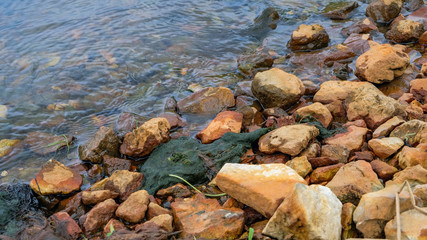 rocky shore of the river