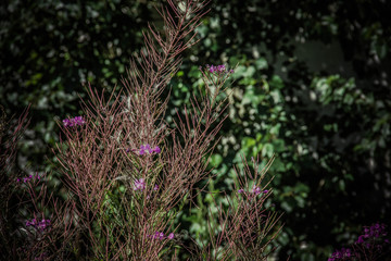 Former military stores