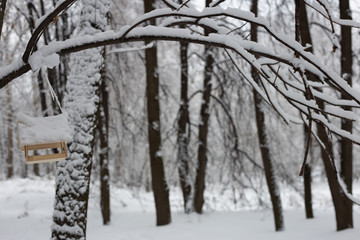 snow covered bird feeder in the park