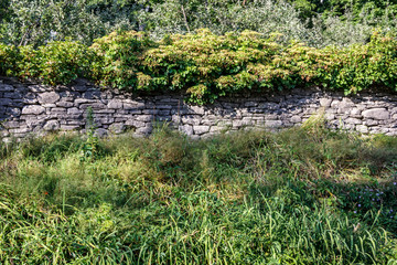 Fototapeta na wymiar Hand stacked stone wall with hydrangea in background and day lilies in foreground