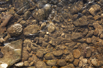 stream with clear water in the forest