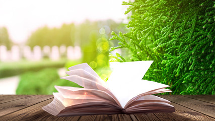 Open book on the wooden table, green summer grass background.