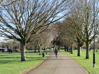 road through the park 1