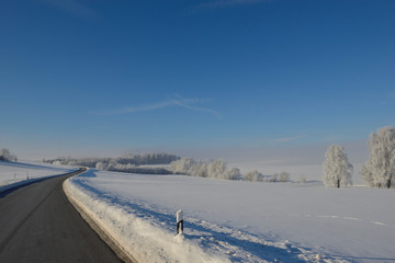Obraz premium Winter mit Raureif bei Rückersdorf in Sachsen