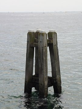 Dalben im Meer