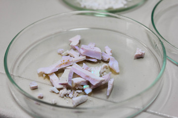 scientific reportage photos